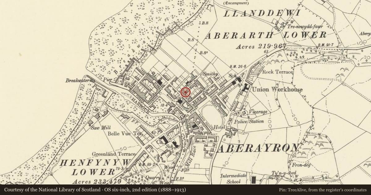 Ordnance Survey six-inch map, 2nd edition (1888–1913) covering the location of 18 Victoria Street, Aberaeron, Ceredigion, with a pin at the register's coordinates
