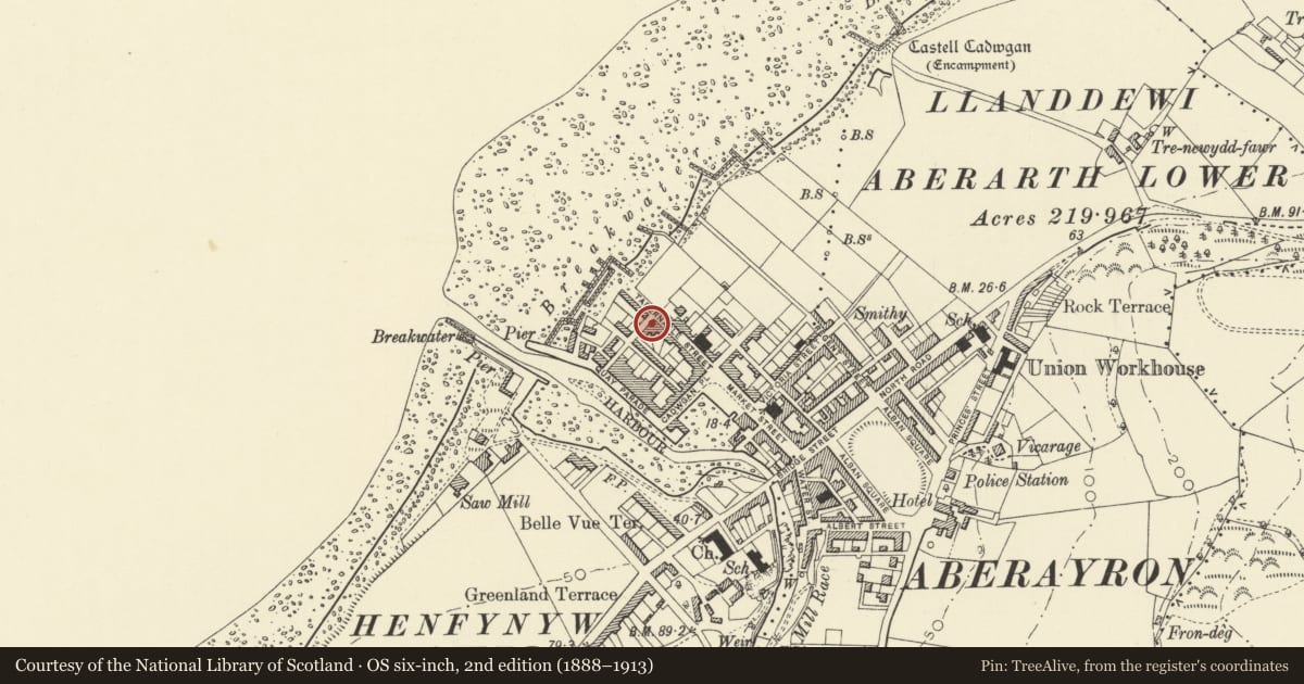 Ordnance Survey six-inch map, 2nd edition (1888–1913) covering the location of Tremymor, Aberaeron, Ceredigion, with a pin at the register's coordinates