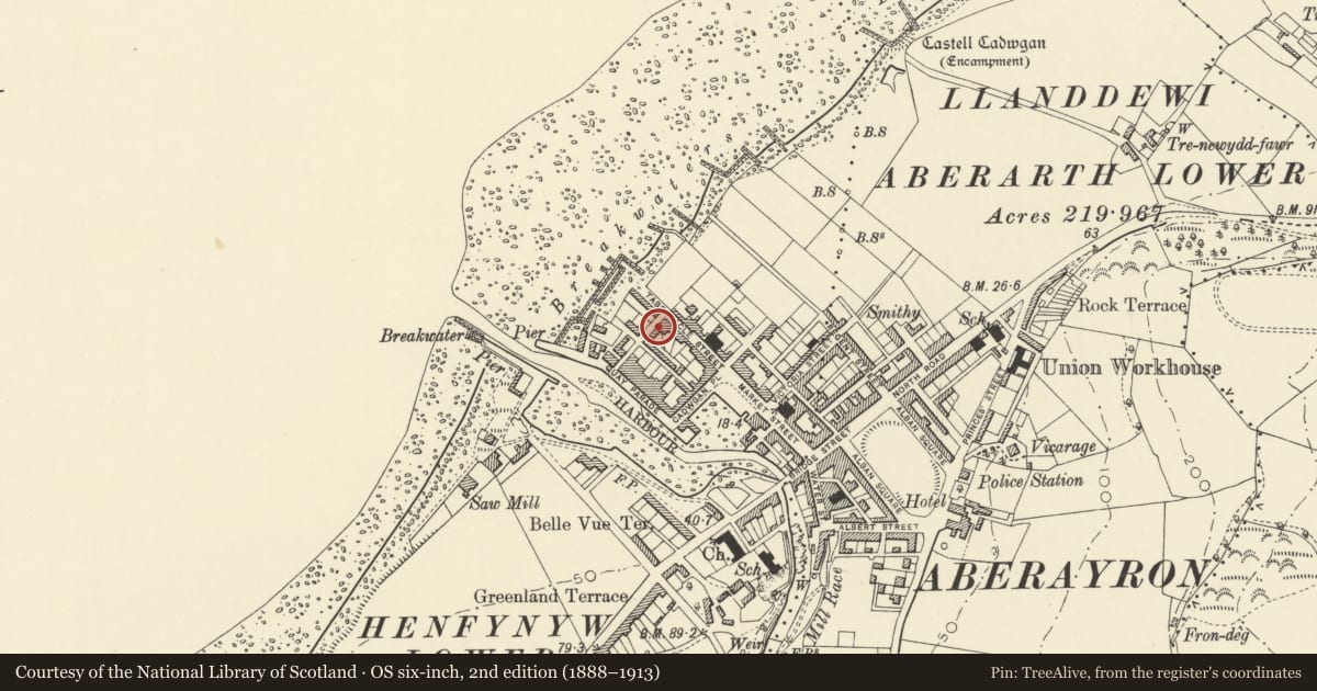 Ordnance Survey six-inch map, 2nd edition (1888–1913) covering the location of Dolwar, Aberaeron, Ceredigion, with a pin at the register's coordinates