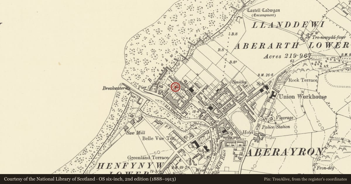 Ordnance Survey six-inch map, 2nd edition (1888–1913) covering the location of 4 Waterloo Street, Aberaeron, Ceredigion, with a pin at the register's coordinates