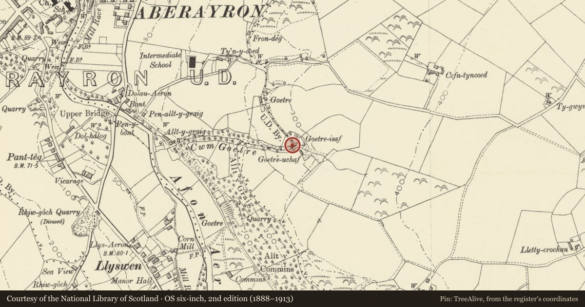 Ordnance Survey six-inch map, 2nd edition (1888–1913) covering the location of Goetre Uchaf, Aberaeron, Ceredigion, with a pin at the register's coordinates