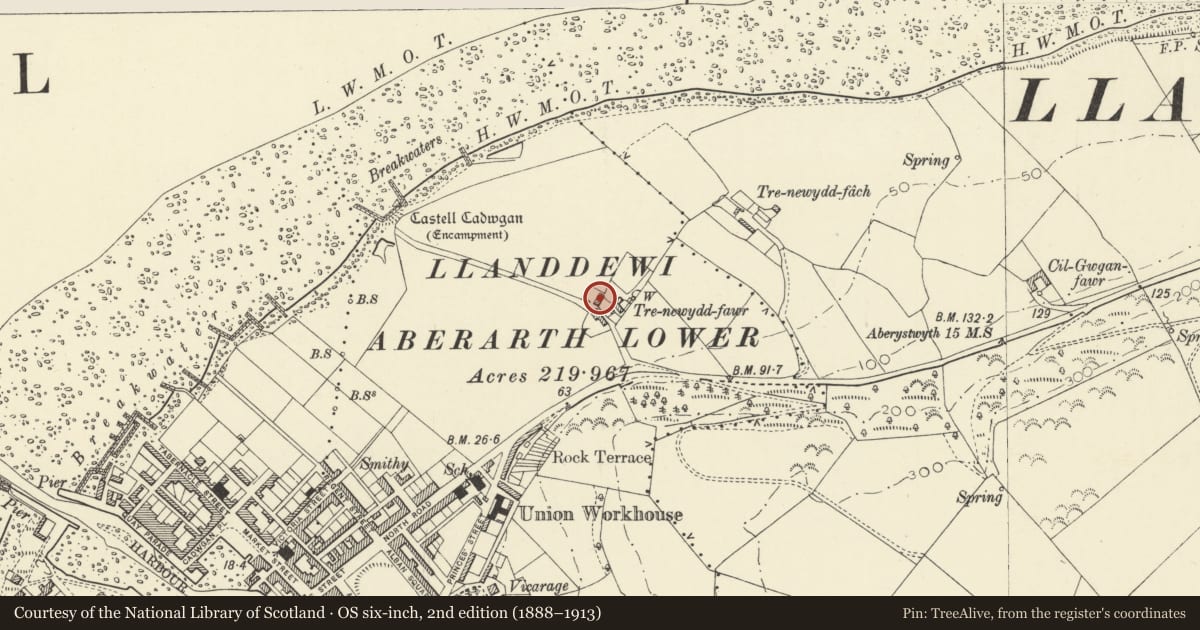 Ordnance Survey six-inch map, 2nd edition (1888–1913) covering the location of Drefnewydd Farmhouse, Aberaeron, Ceredigion, with a pin at the register's coordinates