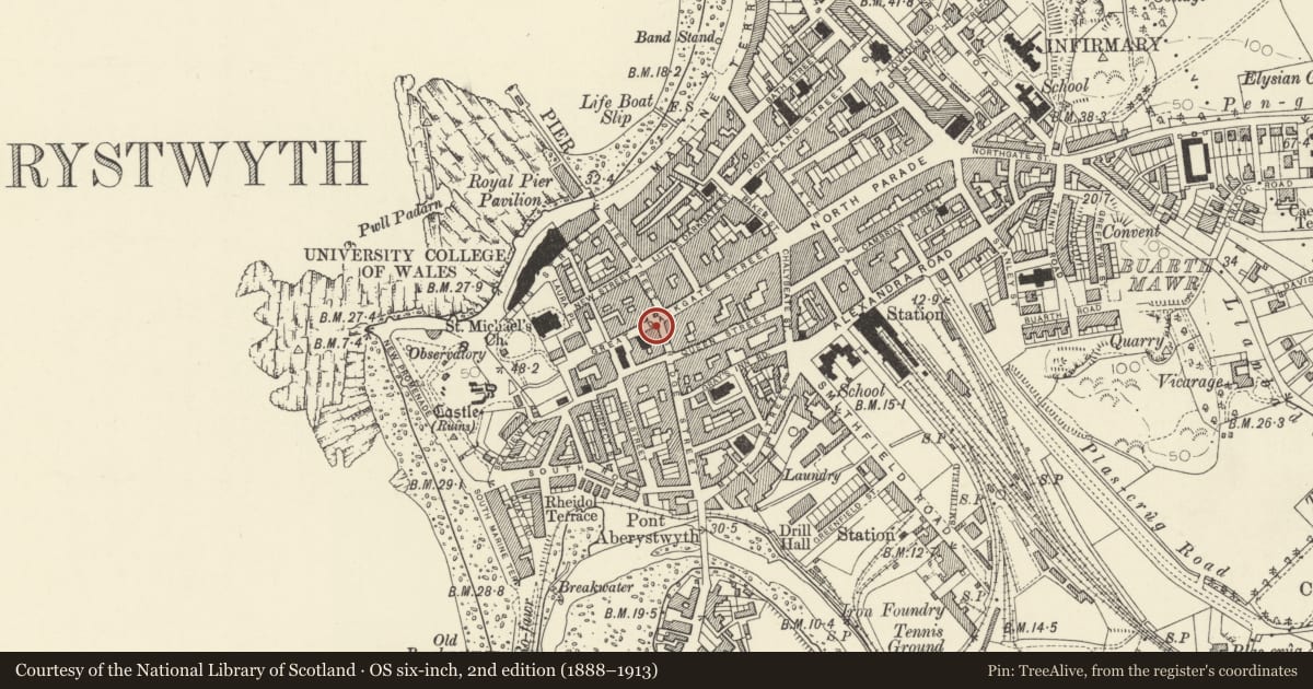 Ordnance Survey six-inch map, 2nd edition (1888–1913) covering the location of Royale Electronics, Aberystwyth, Ceredigion, with a pin at the register's coordinates