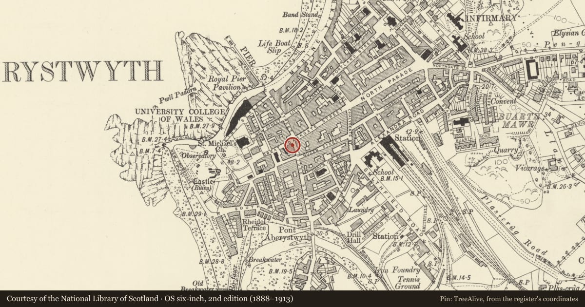 Ordnance Survey six-inch map, 2nd edition (1888–1913) covering the location of Hardware, Aberystwyth, Ceredigion, with a pin at the register's coordinates