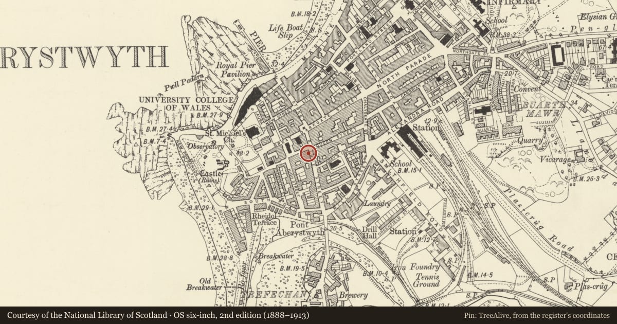 Ordnance Survey six-inch map, 2nd edition (1888–1913) covering the location of Connexion, Aberystwyth, Ceredigion, with a pin at the register's coordinates