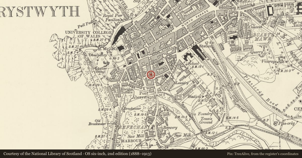 Ordnance Survey six-inch map, 2nd edition (1888–1913) covering the location of The Old Bank House, Aberystwyth, Ceredigion, with a pin at the register's coordinates