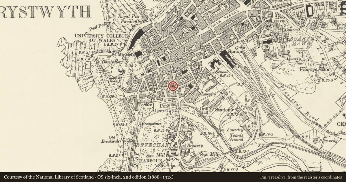 Ordnance Survey six-inch map, 2nd edition (1888–1913) covering the location of 45 Bridge Street, Aberystwyth, Ceredigion, with a pin at the register's coordinates