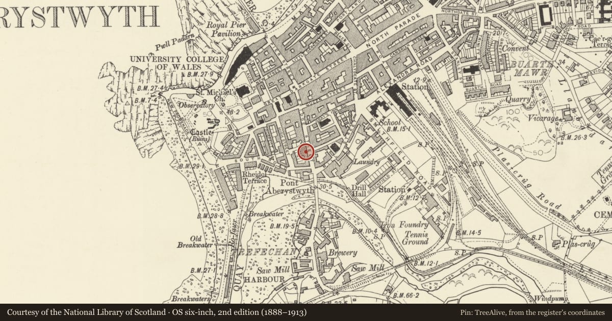 Ordnance Survey six-inch map, 2nd edition (1888–1913) covering the location of 49 Bridge Street, Aberystwyth, Ceredigion, with a pin at the register's coordinates