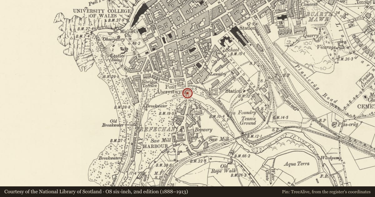Ordnance Survey six-inch map, 2nd edition (1888–1913) covering the location of Pont Aberystwyth, Ceredigion, with a pin at the register's coordinates