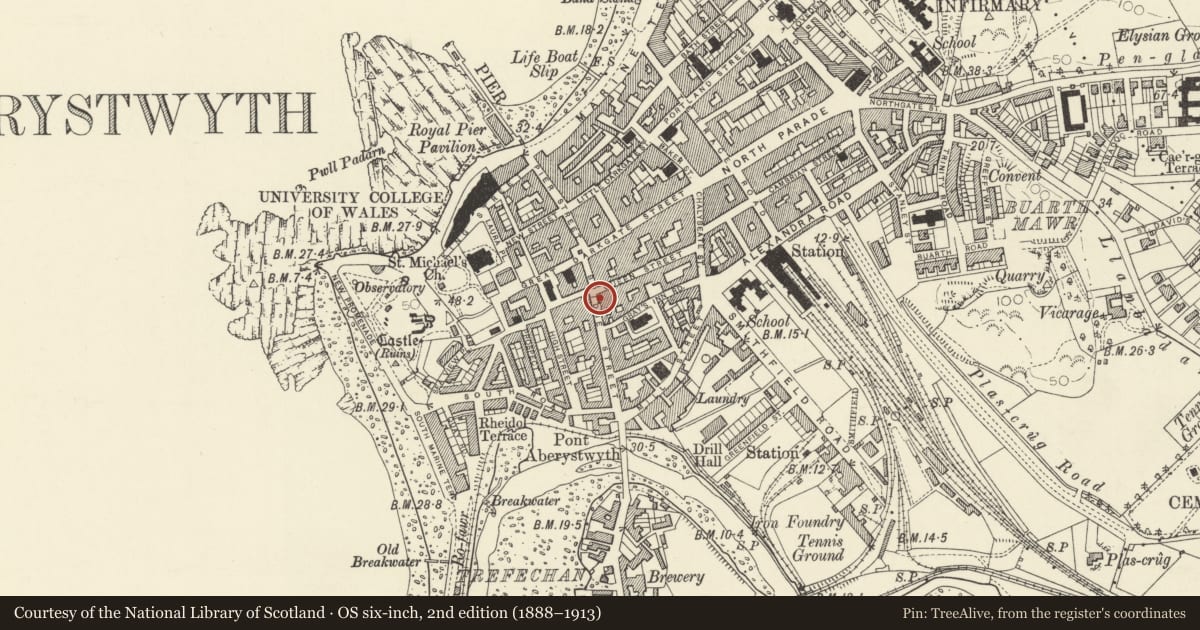 Ordnance Survey six-inch map, 2nd edition (1888–1913) covering the location of Ystwyth, Aberystwyth, Ceredigion, with a pin at the register's coordinates