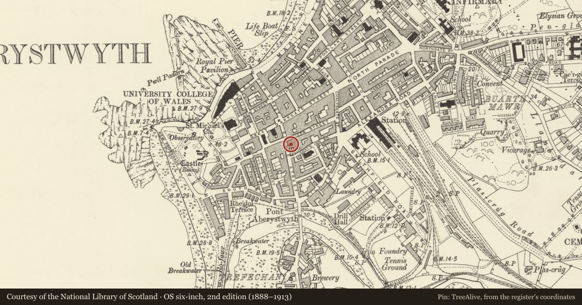 Ordnance Survey six-inch map, 2nd edition (1888–1913) covering the location of Old Black Lion Hotel, Aberystwyth, Ceredigion, with a pin at the register's coordinates