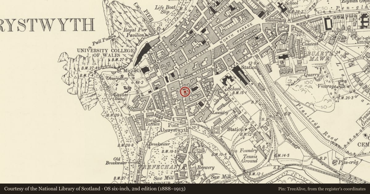 Ordnance Survey six-inch map, 2nd edition (1888–1913) covering the location of Ceredigion, Aberystwyth, Ceredigion, with a pin at the register's coordinates