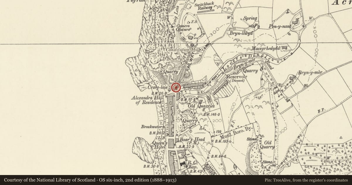 Ordnance Survey six-inch map, 2nd edition (1888–1913) covering the location of Cliff Railway House, Aberystwyth, Ceredigion, with a pin at the register's coordinates