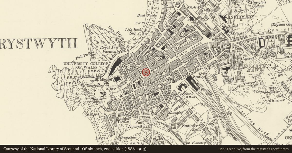 Ordnance Survey six-inch map, 2nd edition (1888–1913) covering the location of David Evans Jeweller, Aberystwyth, Ceredigion, with a pin at the register's coordinates