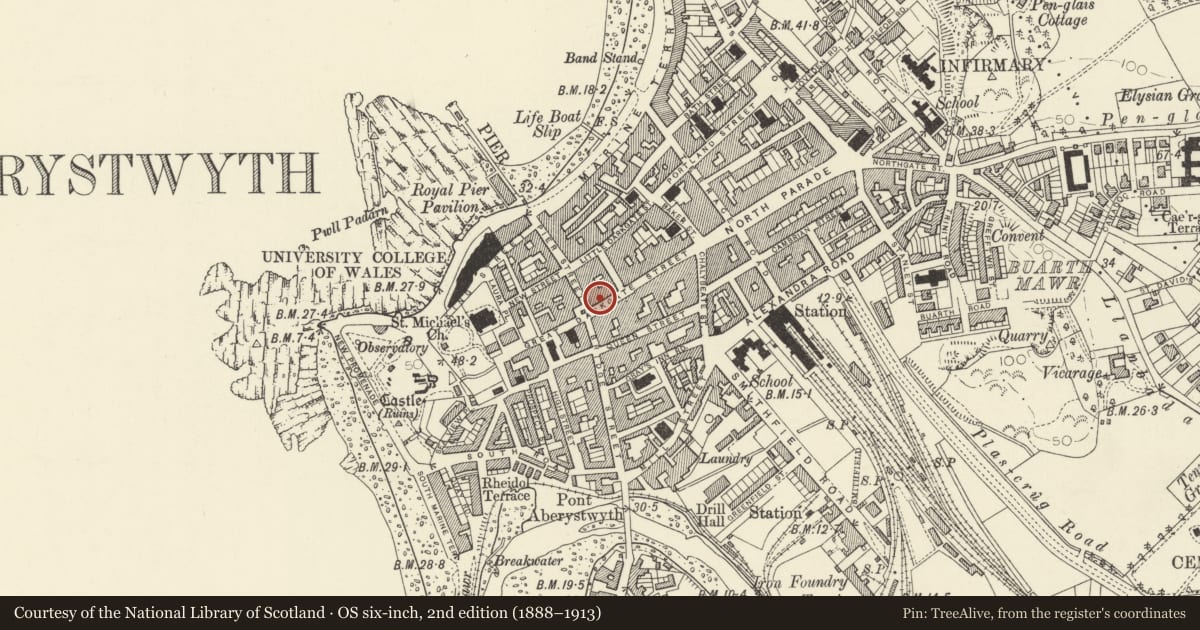 Ordnance Survey six-inch map, 2nd edition (1888–1913) covering the location of County Juniors, Aberystwyth, Ceredigion, with a pin at the register's coordinates