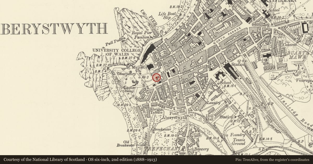 Ordnance Survey six-inch map, 2nd edition (1888–1913) covering the location of Brynawel, Aberystwyth, Ceredigion, with a pin at the register's coordinates