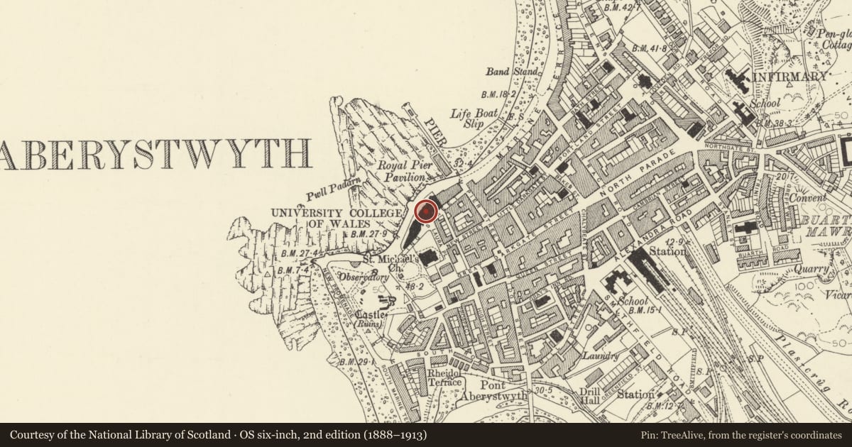 Ordnance Survey six-inch map, 2nd edition (1888–1913) covering the location of University College of Wales Old College Building, Aberystwyth, Ceredigion, with a pin at the register's coordinates