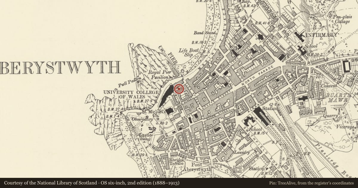Ordnance Survey six-inch map, 2nd edition (1888–1913) covering the location of Gerlan, Aberystwyth, Ceredigion, with a pin at the register's coordinates
