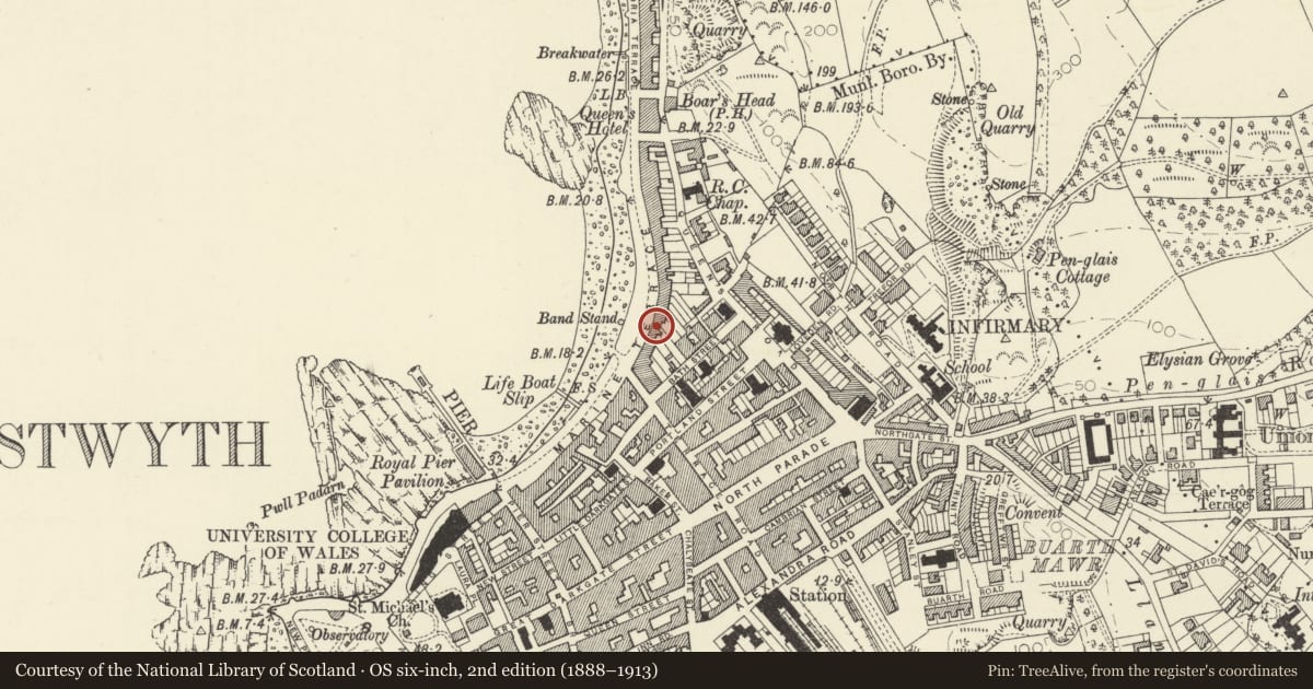Ordnance Survey six-inch map, 2nd edition (1888–1913) covering the location of Deva, Aberystwyth, Ceredigion, with a pin at the register's coordinates