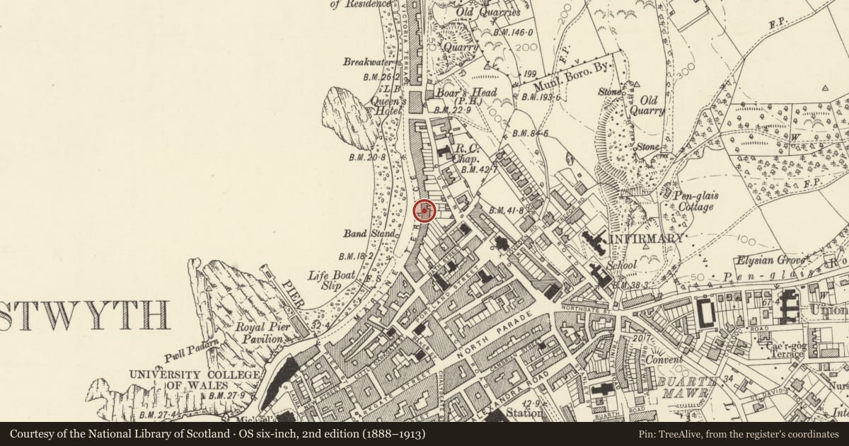 Ordnance Survey six-inch map, 2nd edition (1888–1913) covering the location of Carpenter Hall (nos 38-42consec), Aberystwyth, Ceredigion, with a pin at the register's coordinates