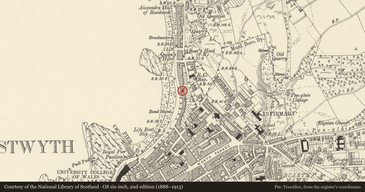 Ordnance Survey six-inch map, 2nd edition (1888–1913) covering the location of Royal Commission on Ancient & Historical Monuments in Wales, Aberystwyth, Ceredigion, with a pin at the register's coordinates