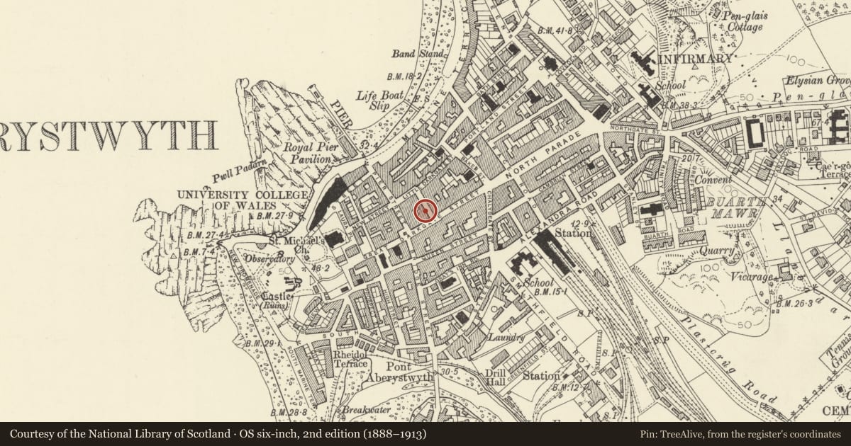 Ordnance Survey six-inch map, 2nd edition (1888–1913) covering the location of G Jones, Aberystwyth, Ceredigion, with a pin at the register's coordinates