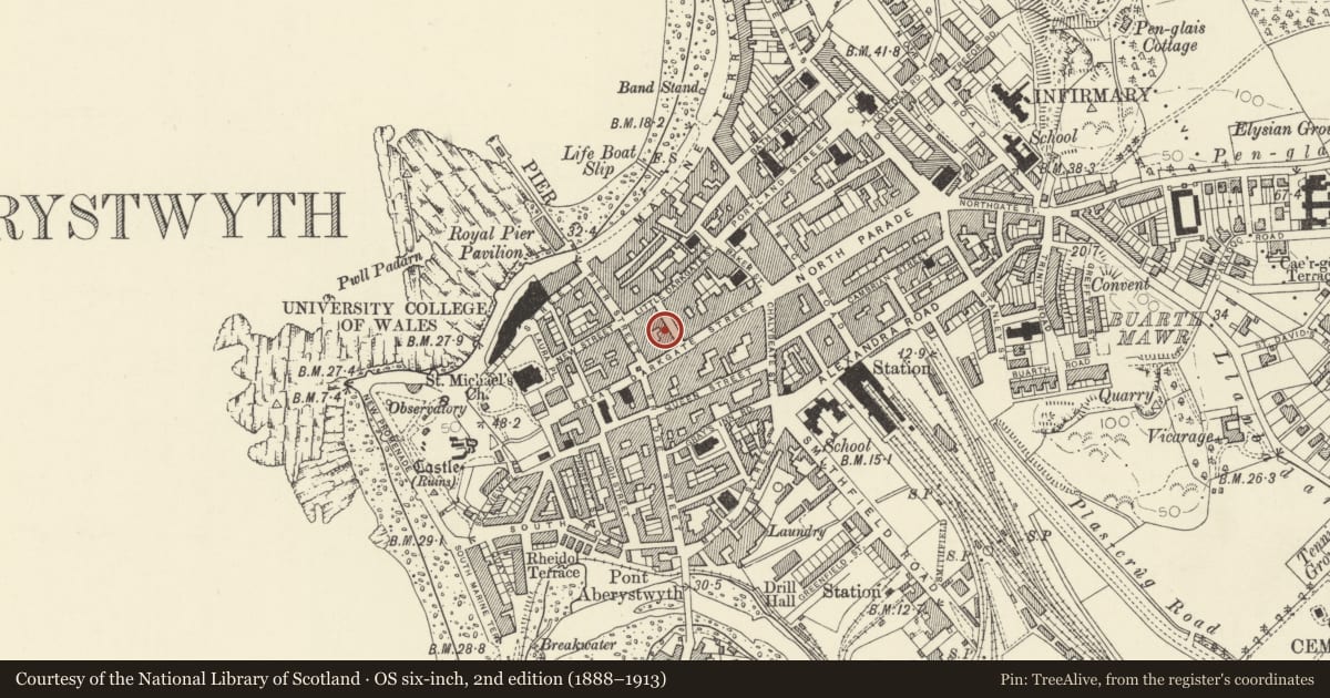Ordnance Survey six-inch map, 2nd edition (1888–1913) covering the location of Dudes & Dames, Aberystwyth, Ceredigion, with a pin at the register's coordinates