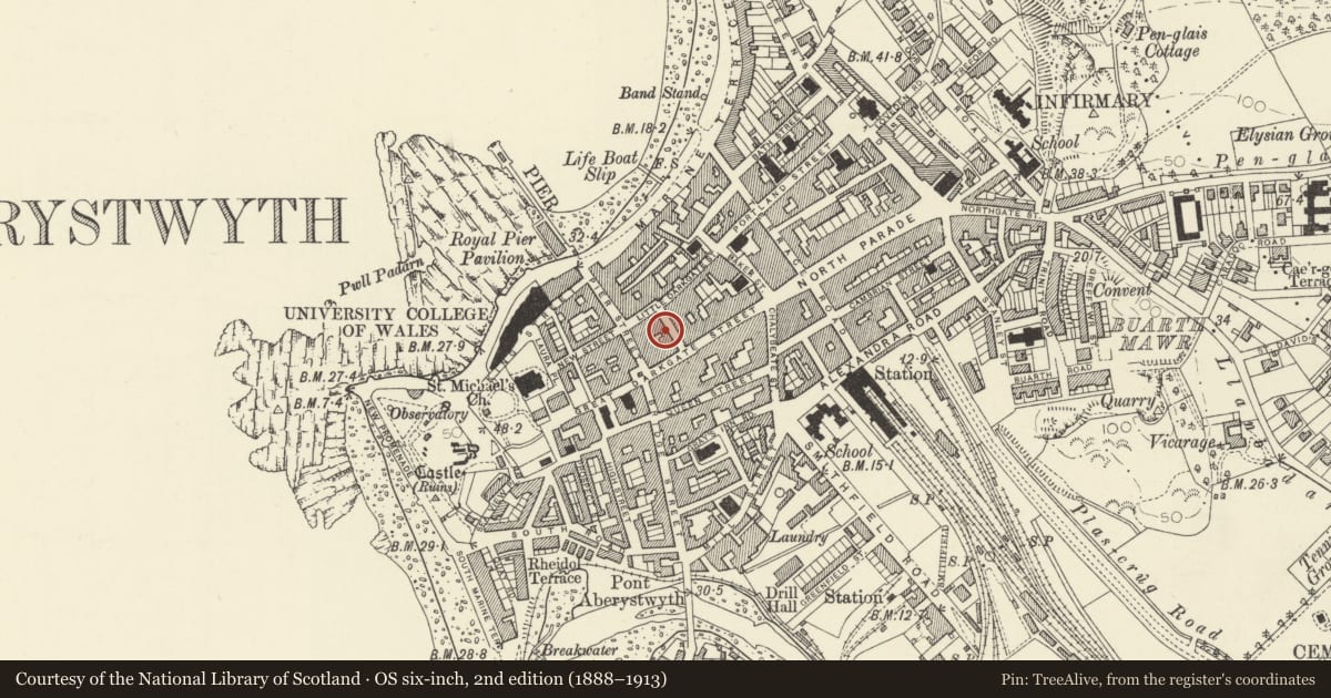 Ordnance Survey six-inch map, 2nd edition (1888–1913) covering the location of A T Mays Travel Agent, Aberystwyth, Ceredigion, with a pin at the register's coordinates