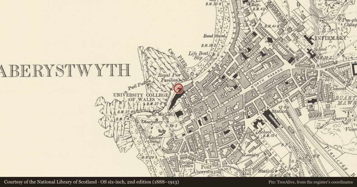 Ordnance Survey six-inch map, 2nd edition (1888–1913) covering the location of Statue of Thomas Edwards, Aberystwyth, Ceredigion, with a pin at the register's coordinates