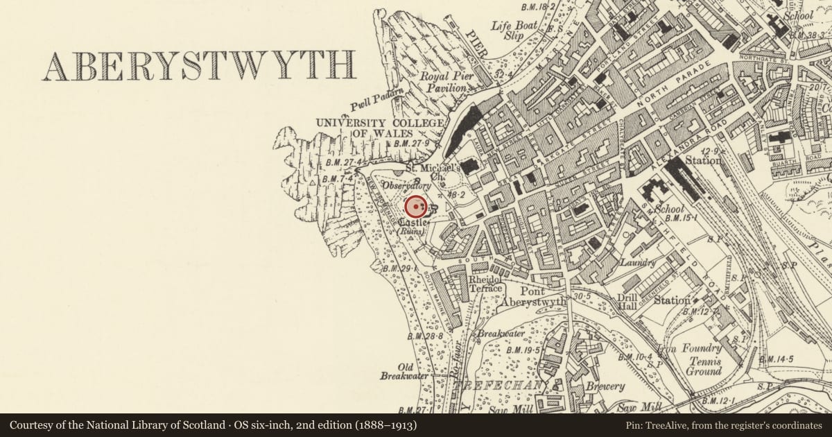 Ordnance Survey six-inch map, 2nd edition (1888–1913) covering the location of Aberystwyth Castle, Ceredigion, with a pin at the register's coordinates