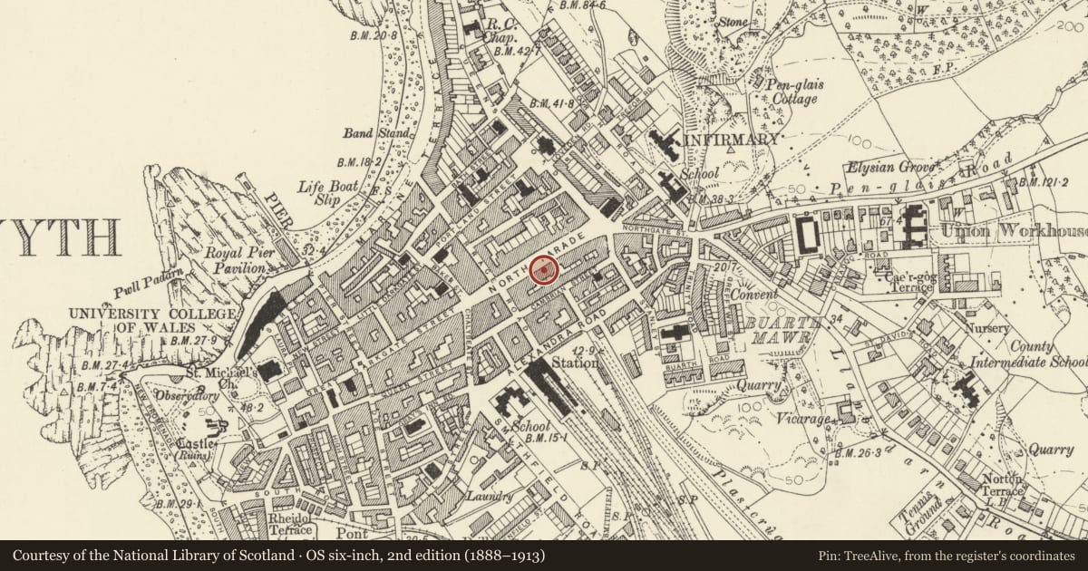 Ordnance Survey six-inch map, 2nd edition (1888–1913) covering the location of 39 North Parade, Aberystwyth, Ceredigion, with a pin at the register's coordinates