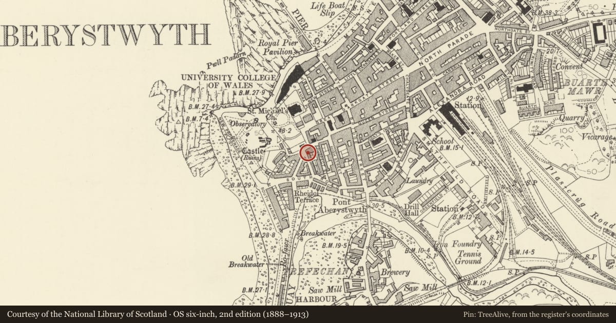 Ordnance Survey six-inch map, 2nd edition (1888–1913) covering the location of 24 Penmaesglas Road, Aberystwyth, Ceredigion, with a pin at the register's coordinates