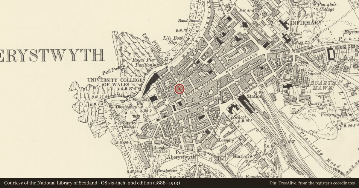 Ordnance Survey six-inch map, 2nd edition (1888–1913) covering the location of Cardigan House, Aberystwyth, Ceredigion, with a pin at the register's coordinates