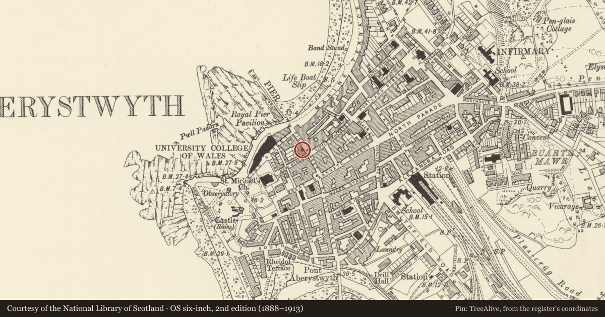 Ordnance Survey six-inch map, 2nd edition (1888–1913) covering the location of Mander & Son, Aberystwyth, Ceredigion, with a pin at the register's coordinates