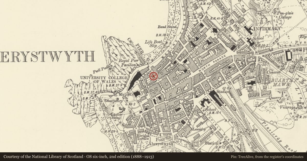 Ordnance Survey six-inch map, 2nd edition (1888–1913) covering the location of Don Gelato, Aberystwyth, Ceredigion, with a pin at the register's coordinates