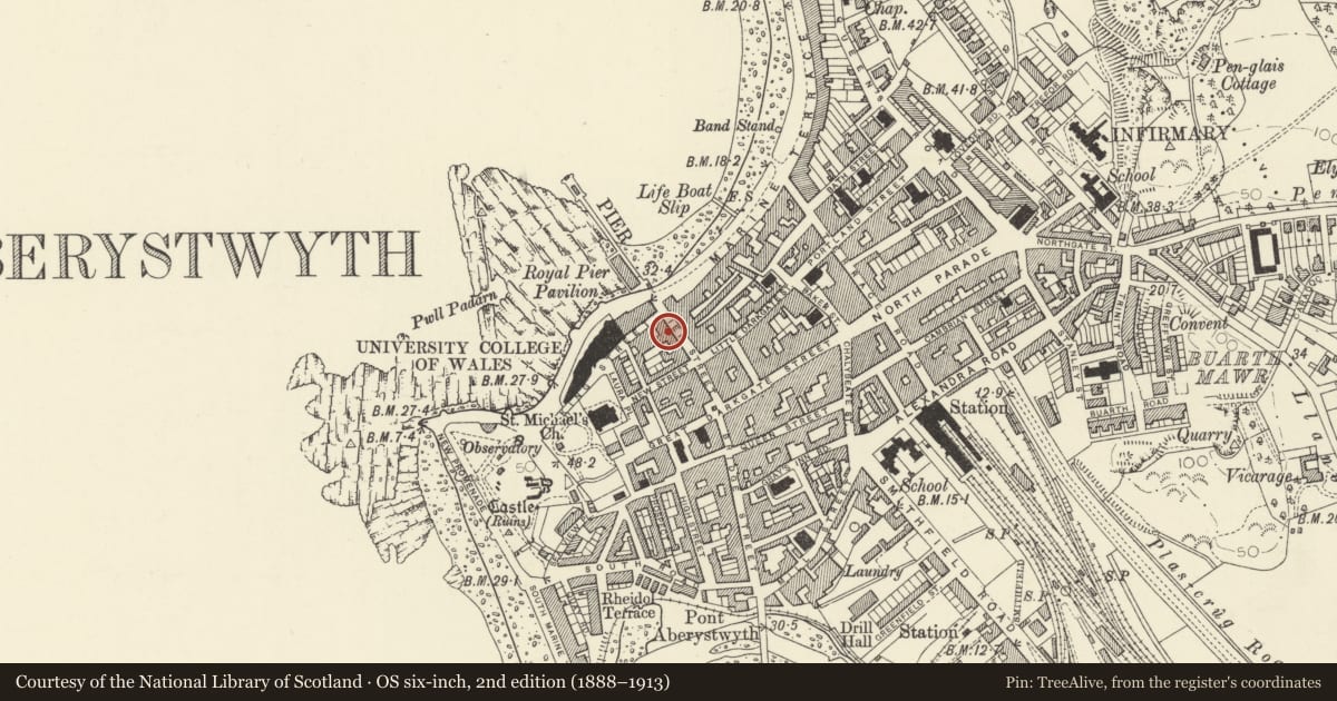 Ordnance Survey six-inch map, 2nd edition (1888–1913) covering the location of Plaid Cymru, Aberystwyth, Ceredigion, with a pin at the register's coordinates