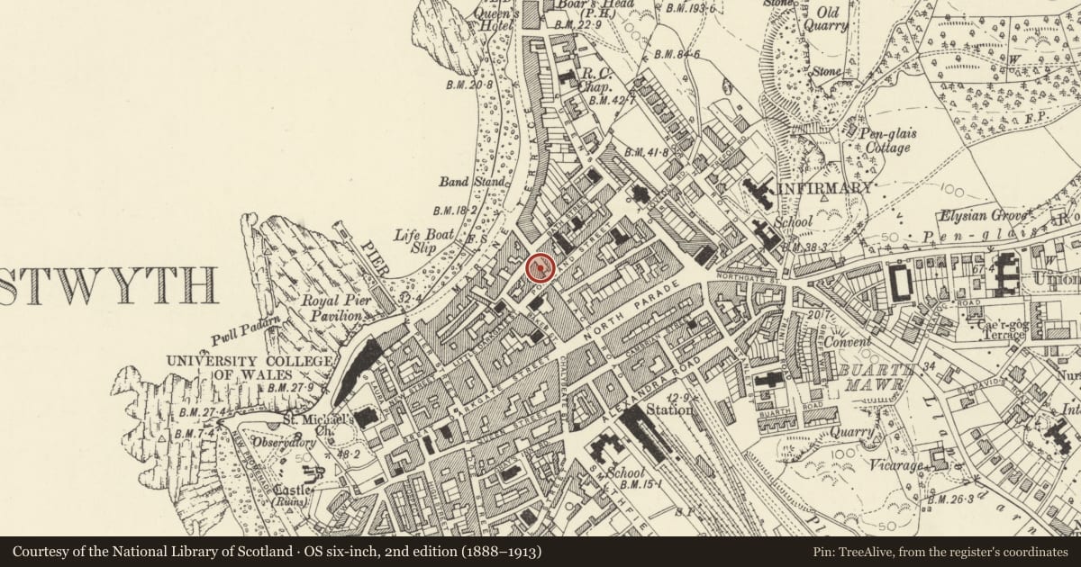Ordnance Survey six-inch map, 2nd edition (1888–1913) covering the location of 48 Terrace Road, Aberystwyth, Ceredigion, with a pin at the register's coordinates