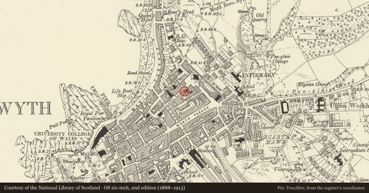 Ordnance Survey six-inch map, 2nd edition (1888–1913) covering the location of Rosemary, Aberystwyth, Ceredigion, with a pin at the register's coordinates
