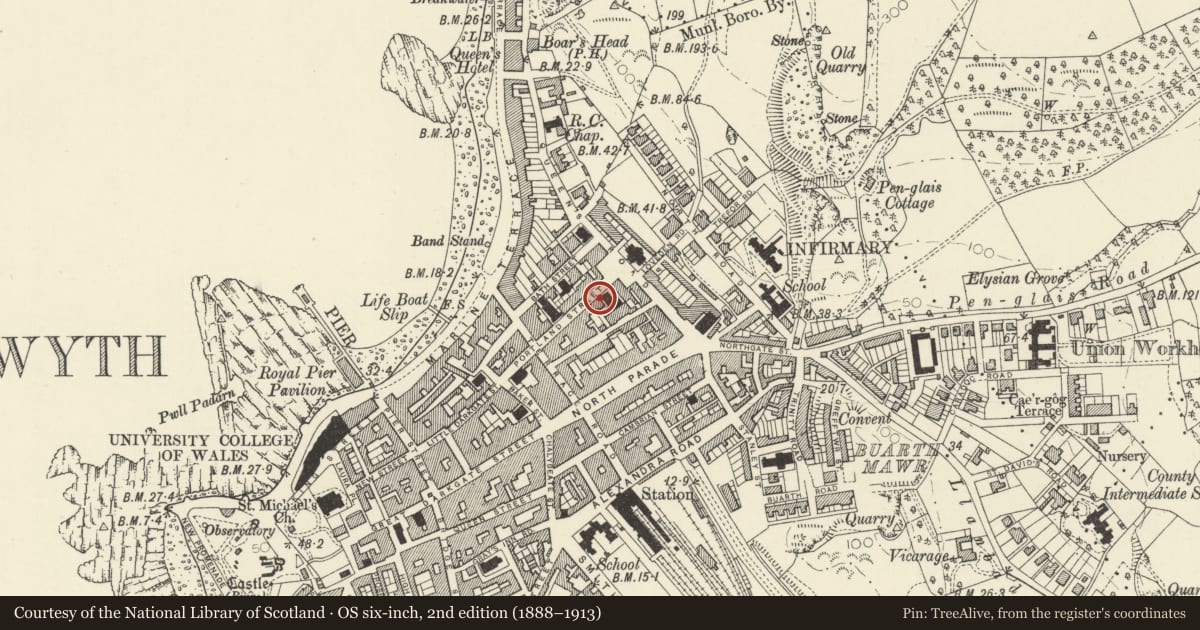 Ordnance Survey six-inch map, 2nd edition (1888–1913) covering the location of 49 Portland Street, Aberystwyth, Ceredigion, with a pin at the register's coordinates