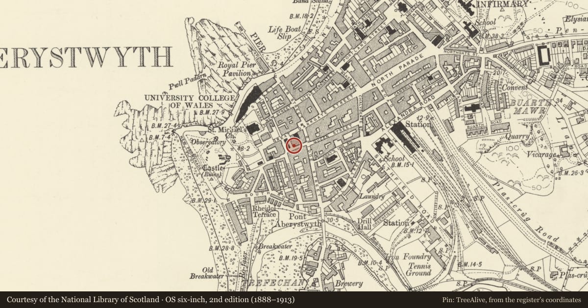 Ordnance Survey six-inch map, 2nd edition (1888–1913) covering the location of 9 Princess Street, Aberystwyth, Ceredigion, with a pin at the register's coordinates