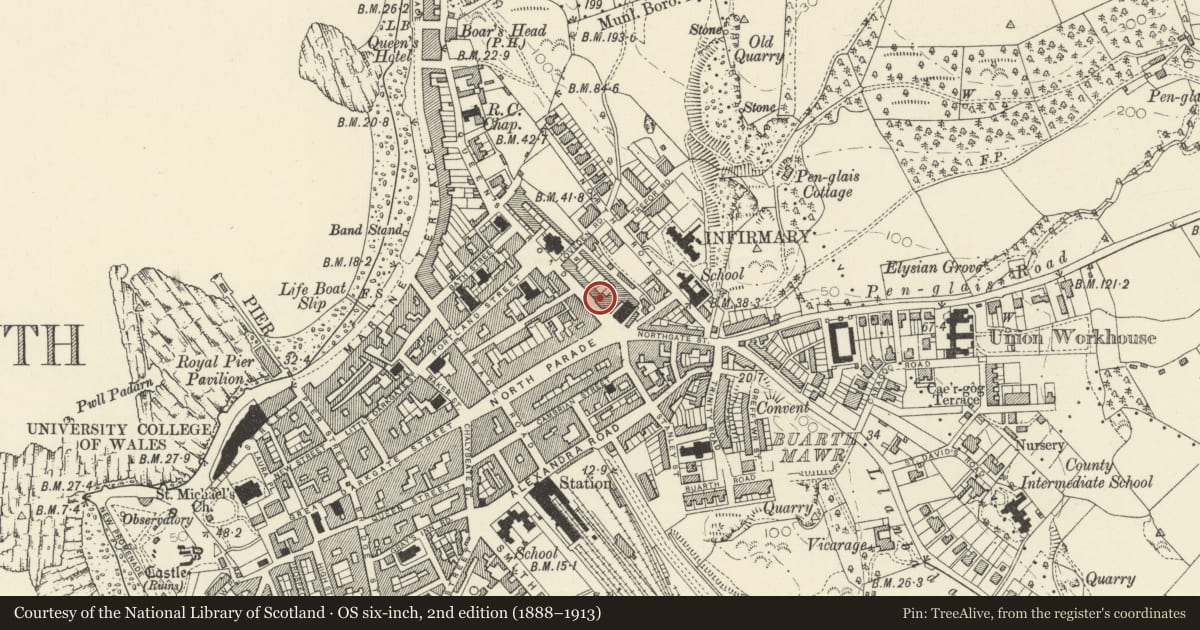 Ordnance Survey six-inch map, 2nd edition (1888–1913) covering the location of Sandmarsh Cottage, Aberystwyth, Ceredigion, with a pin at the register's coordinates
