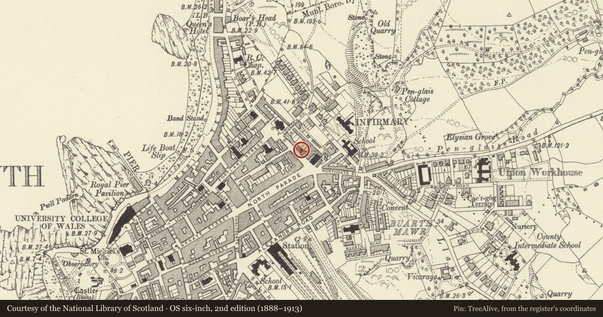 Ordnance Survey six-inch map, 2nd edition (1888–1913) covering the location of 3 Queens Terrace, Queens Road, Aberystwyth, Ceredigion, with a pin at the register's coordinates