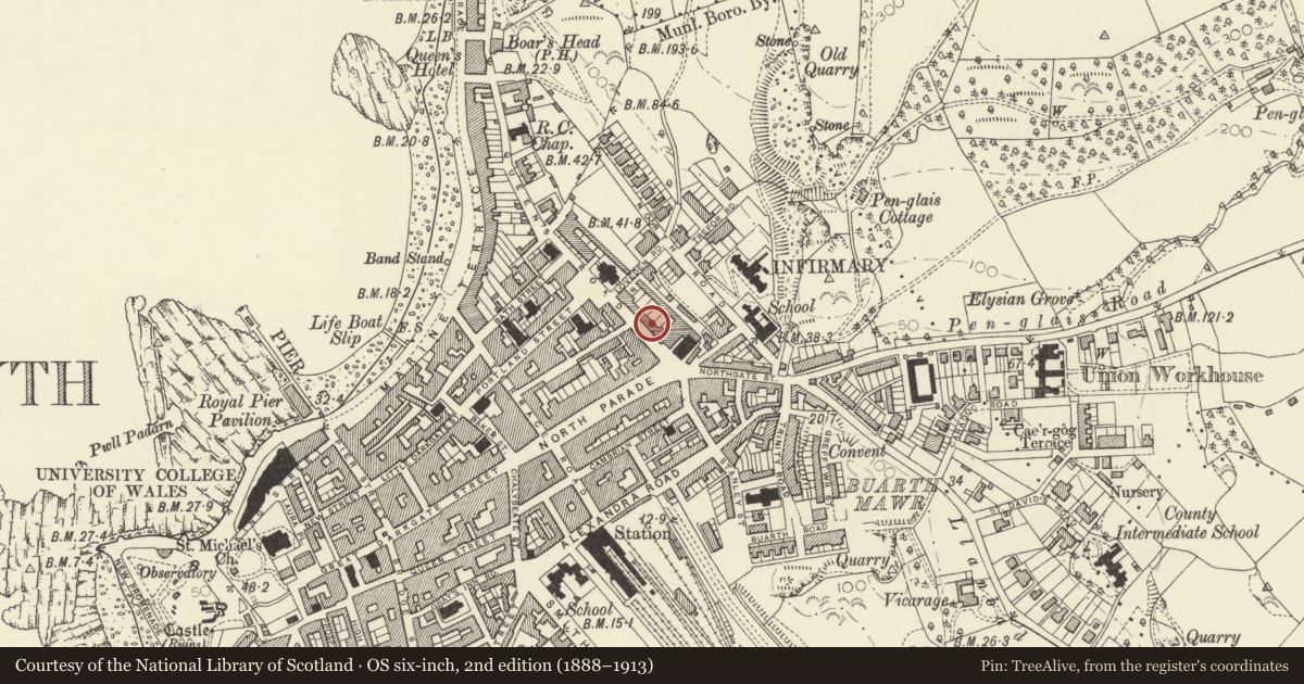 Ordnance Survey six-inch map, 2nd edition (1888–1913) covering the location of 5 Queens Terrace, Queens Road, Aberystwyth, Ceredigion, with a pin at the register's coordinates