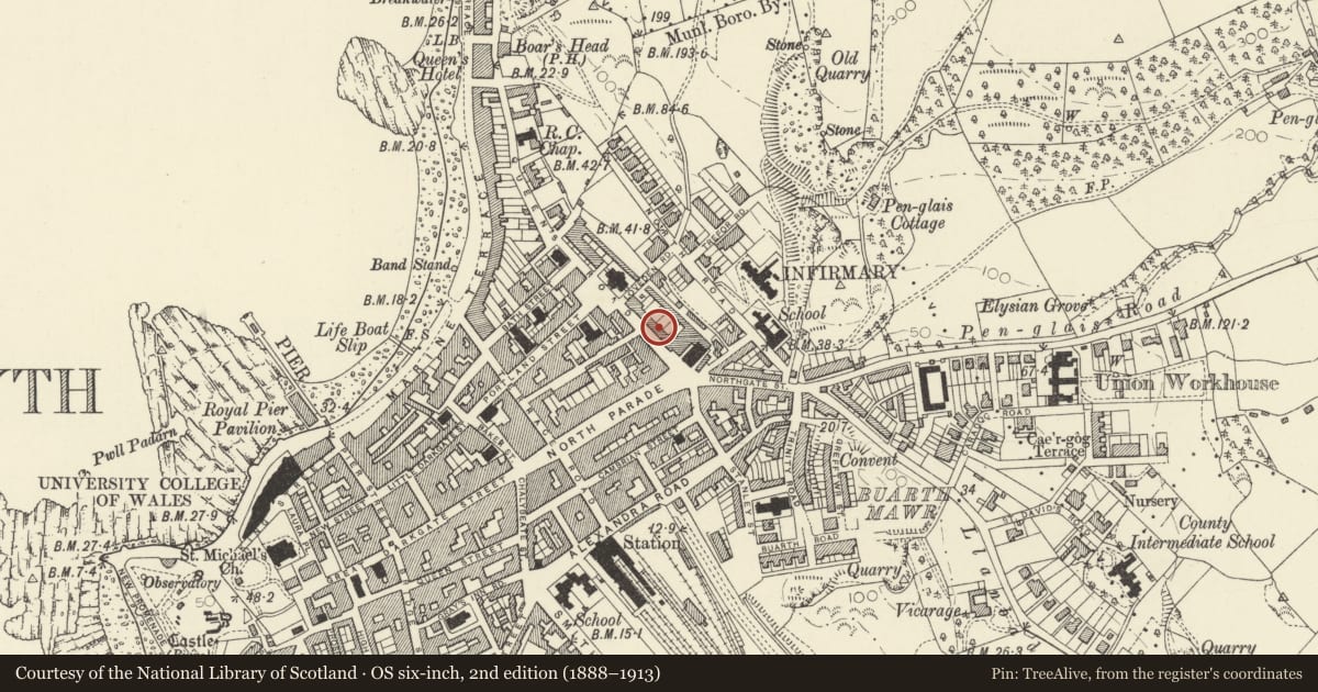 Ordnance Survey six-inch map, 2nd edition (1888–1913) covering the location of 7 Queens Terrace, Queens Road, Aberystwyth, Ceredigion, with a pin at the register's coordinates