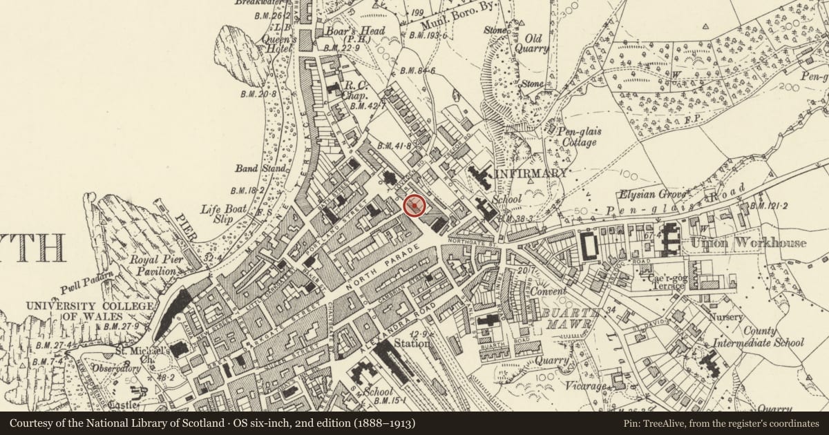 Ordnance Survey six-inch map, 2nd edition (1888–1913) covering the location of 9 Queens Terrace, Queens Road, Aberystwyth, Ceredigion, with a pin at the register's coordinates