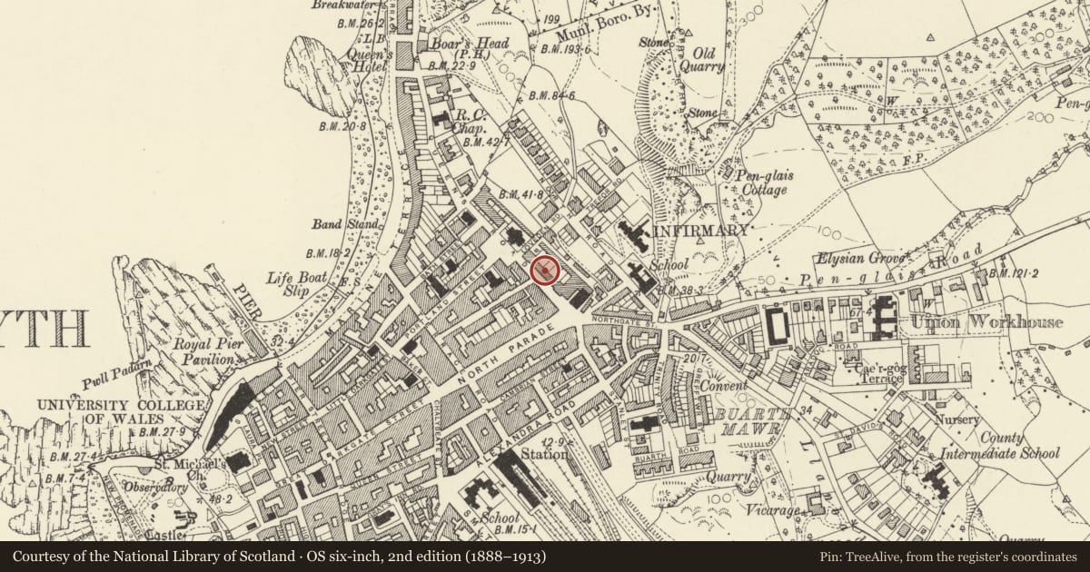 Ordnance Survey six-inch map, 2nd edition (1888–1913) covering the location of 11 Queens Terrace, Queens Road, Aberystwyth, Ceredigion, with a pin at the register's coordinates