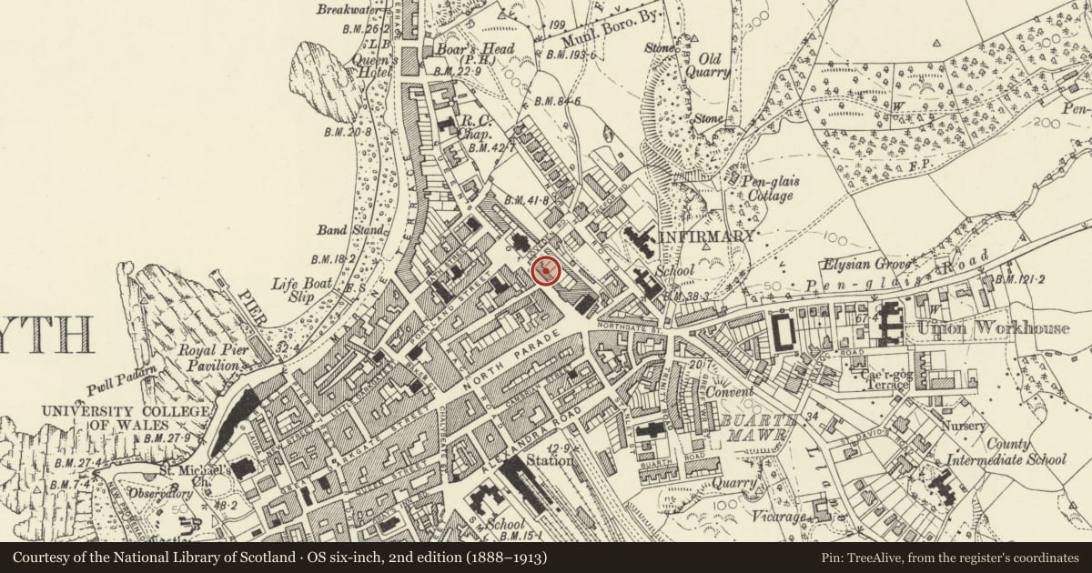 Ordnance Survey six-inch map, 2nd edition (1888–1913) covering the location of 15 Queens Terrace, Queens Road, Aberystwyth, Ceredigion, with a pin at the register's coordinates