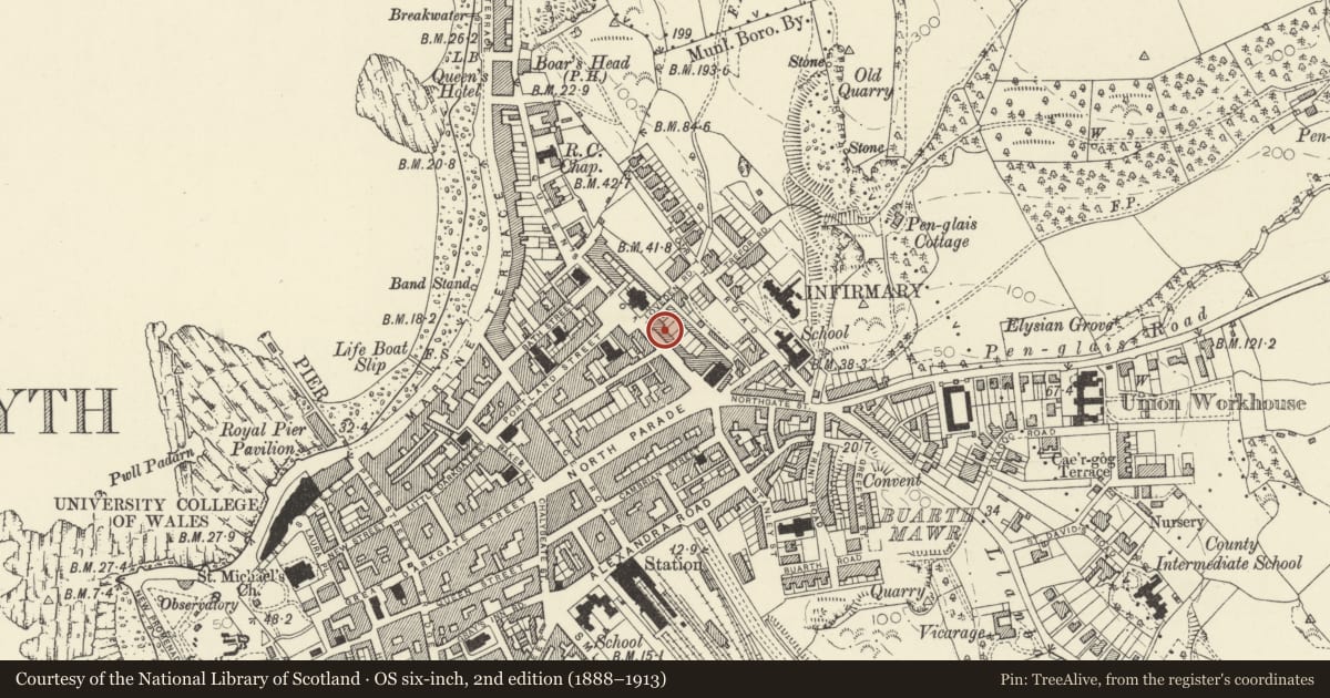 Ordnance Survey six-inch map, 2nd edition (1888–1913) covering the location of 17 Queens Terrace, Queens Road, Aberystwyth, Ceredigion, with a pin at the register's coordinates