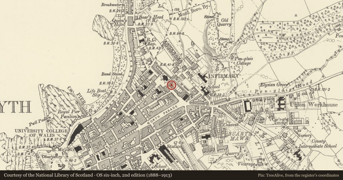 Ordnance Survey six-inch map, 2nd edition (1888–1913) covering the location of 19 Queens Terrace, Queens Road, Aberystwyth, Ceredigion, with a pin at the register's coordinates