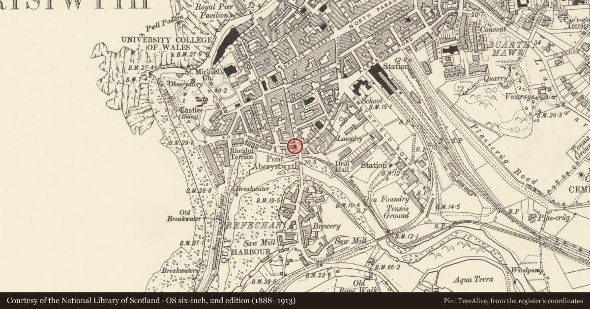 Ordnance Survey six-inch map, 2nd edition (1888–1913) covering the location of R J Evans Family Butcher, Aberystwyth, Ceredigion, with a pin at the register's coordinates